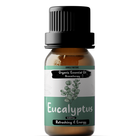 🍃  Eucalyptus Essential Oil – 100% Pure & Natural