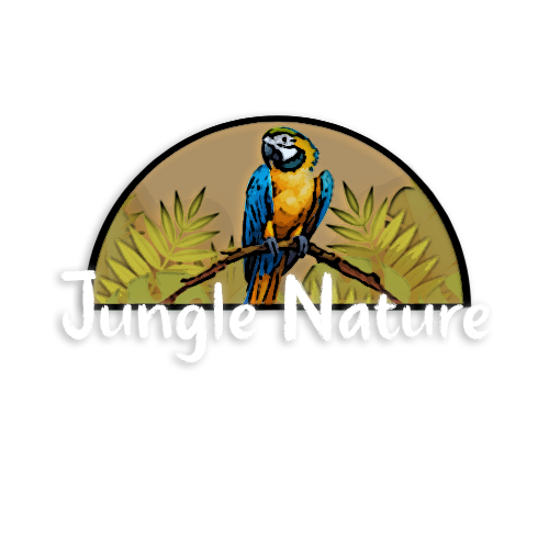 Jungle Nature